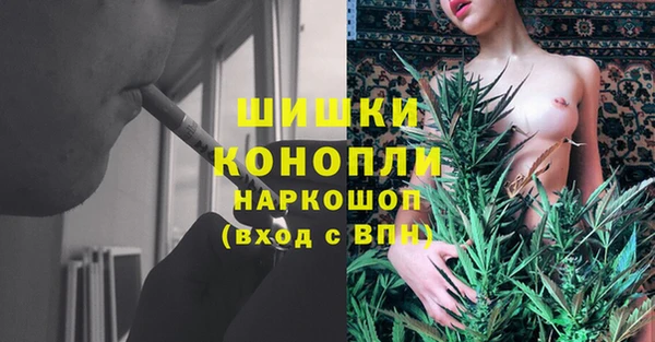 spice Балахна